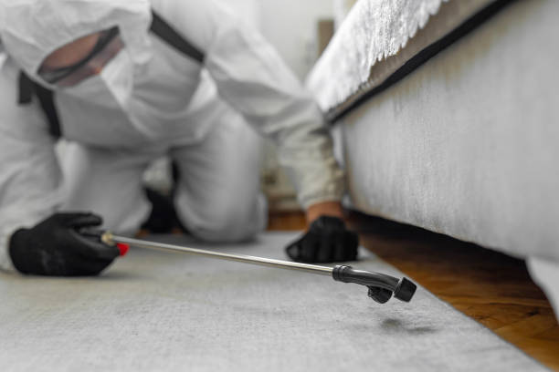 Professional Termite Control technician working in Edmonton, KY