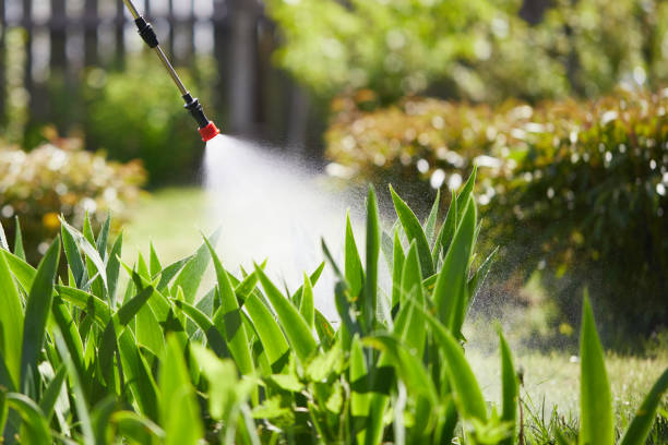 24/7 Emergency Termite Control experts in Edmonton, KY