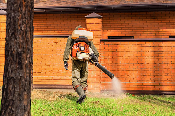 Top rated local Termite Control specialists in Edmonton, KY